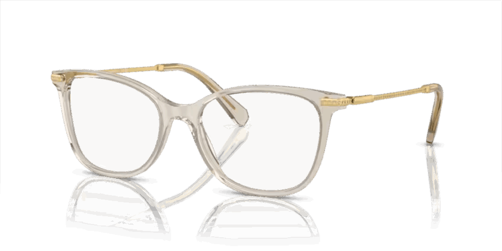 SWAROVSKI SK2010 3003 54-17 140